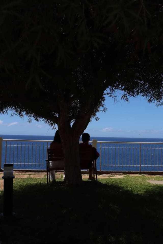 Cliff View III - Sea View + Pool + Wifi Leilighet Funchal  Eksteriør bilde